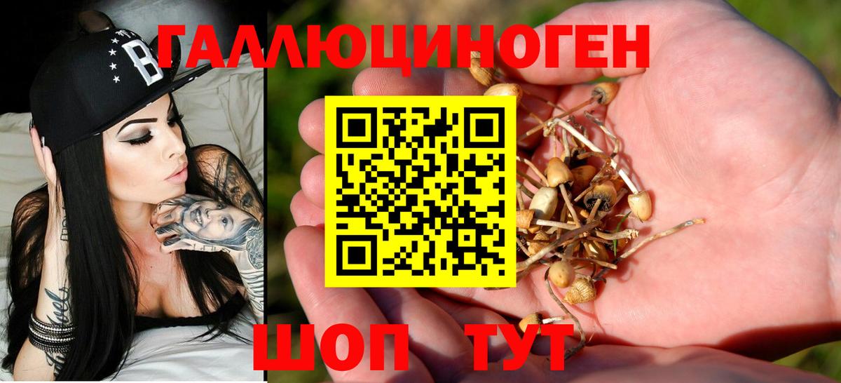 Псилоцибиновые грибы MAGIC MUSHROOMS  Вход с VPN  Железногорск  Галлюциногенные грибы ЛСД 
